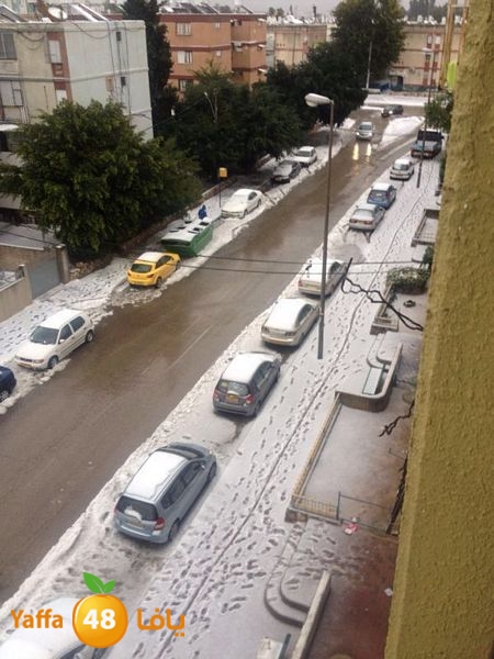 iceman lud 1213 (6).jpg